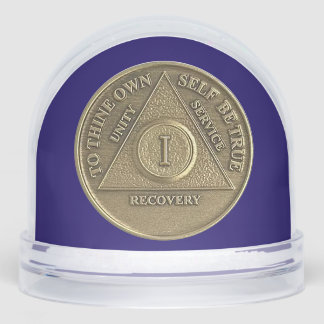 カスタム 奇跡が起こり、1年間の禁酒 AA コイン