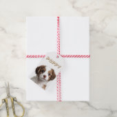 カスタム 犬 写真 & 名前 食品 ギフト タグ (より糸付き)