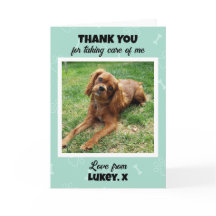 カスタム 獣医 技術 ペット ケア フォト サンクス