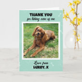 カスタム 獣医 技術 ペット ケア フォト サンクス カード (黄色い花)