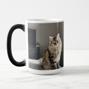 カスタムCatパーソナライズされたフォトコラージュ背の高いコーヒー モーフィングマグカップ