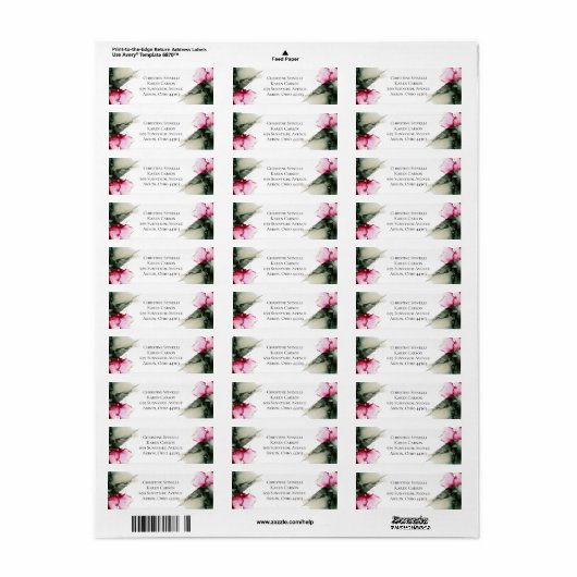 カスタムChristine – ラベル (フルシート)