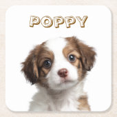 カスタムDog Photo紙コースター – 名パーソナライズされた前 スクエアペーパーコースター (正面)