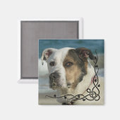 カスタムInstagram Photo Create Your Own Magnet マグネット (正面/裏面)