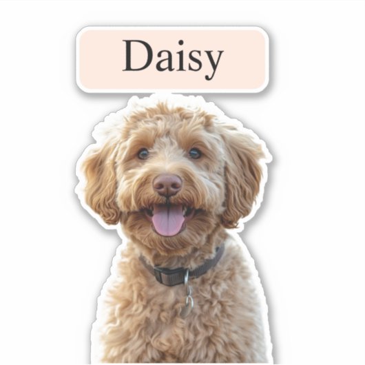 カスタムLeopard Print Dog Photo with Name シール (正面)