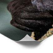 カスタムPantherポスター24" x 16" ポスター (角)