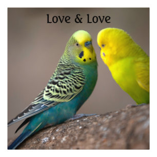 カスタムParrotイメージラブ文字写真の拡大 フォトプリント