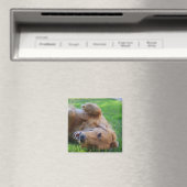 カスタムPetマグネット マグネット (インサイチュ (食洗機))