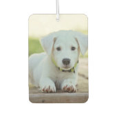 カスタムPhoto Air Freshener - I Love Pets カーエアーフレッシュナー (正面)