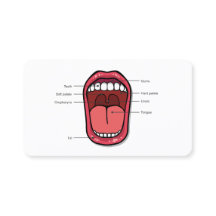 カスタムQR音声セラピスト