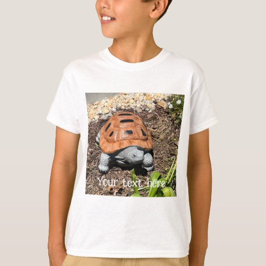 カスタムTシャツ 庭のペンキ塗りの箱龜 Tシャツ (正面)