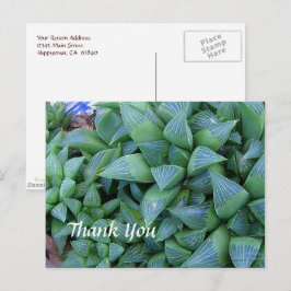 カスタムThank You Haworthia Plantsはがき ポストカード