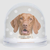 カスタムVizsla犬の写真 (正面)