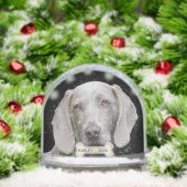 カスタムWeimaraner Dog写真 (クリスマス)