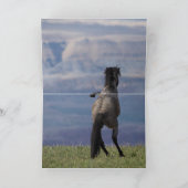 カスターと銀河系-ワイルド·ホース·グリーティング·カード カード (内部)