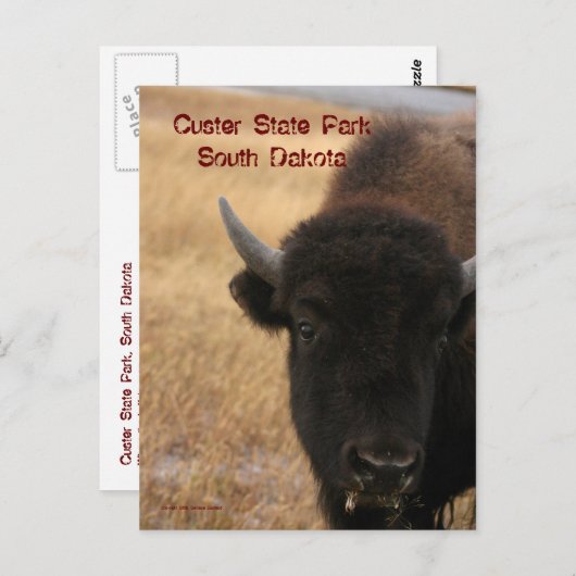 カスター州パークサウスダコタ葉書 ポストカード (正面/裏面)