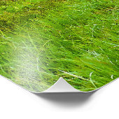 カスター州パークレジオンレイクエリアサウスダコタ フォトプリント            (角)