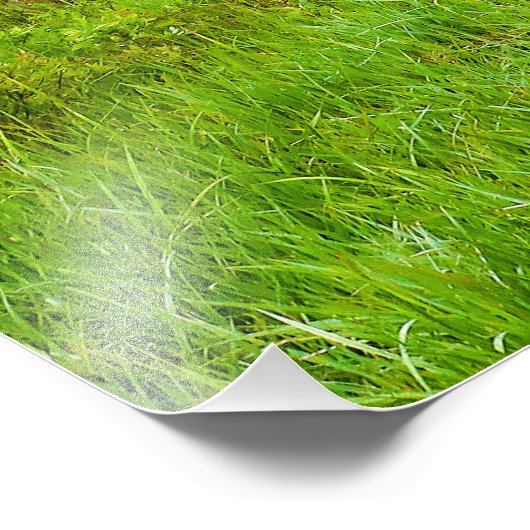 カスター州パークレジオンレイクエリアサウスダコタ フォトプリント            (角)