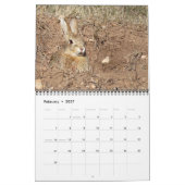 カスター州立公園の動物 2027年カレンダー カレンダー (2月 2027)
