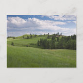 カスター州立公園の草原 ポストカード (正面)