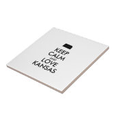 カスタ保マイズCALMとLOVE KANSAS タイル (側面)