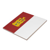 カスティーリャ・ラ・マンチャコート・オブ・アームズ – スペイン タイル (側面)