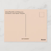 カスティーロサンタローザベネズエラ ポストカード (裏面)