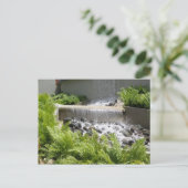 カスティーロデロスニーニノスアドジュンタス ポストカード (スタンド正面)