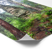 カステッテッドマウンド州林 ポスター (角)