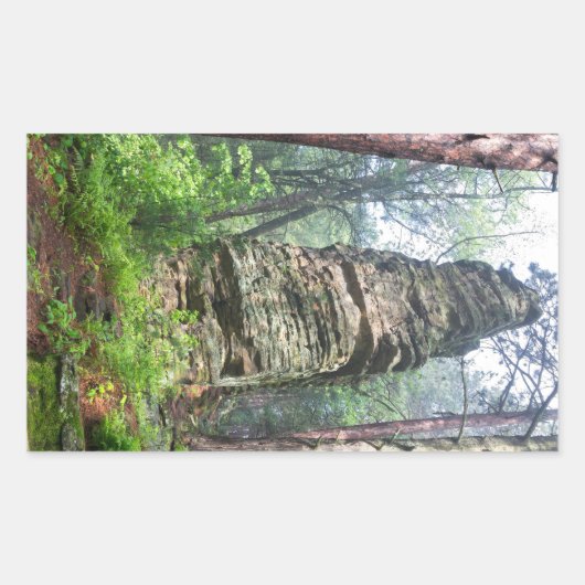 カステッテッドマウンド州林 長方形シール (正面)