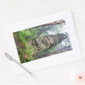 カステッテッドマウンド州林 長方形シール (封筒)