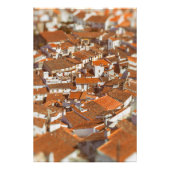 カステロ・デ・ヴィデ・ルーフトップス。ポルトガル，アレンテホ。 フォトプリント            (正面)