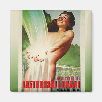 カストロレアルバーニ磁石 マグネット