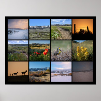 カスナーマウンテン2024の足での1年 ポスター