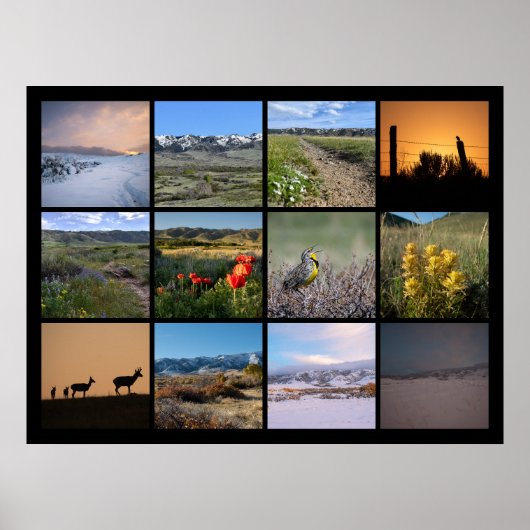 カスナーマウンテン2024の足での1年 ポスター (正面)