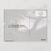 カスパル・デイビッド・フリードリッヒによる月の眺め ポストカード (裏面)