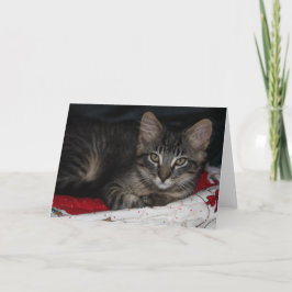 カスピのクリスマス空白のグリーティングカード シーズンカード