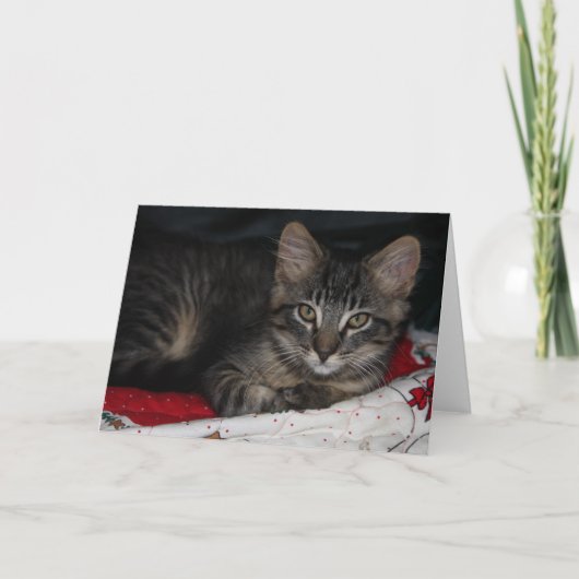 カスピのクリスマス空白のグリーティングカード シーズンカード (正面)