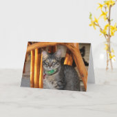 カスピ海の愛らしい猫の記念日カード カード (黄色い花)