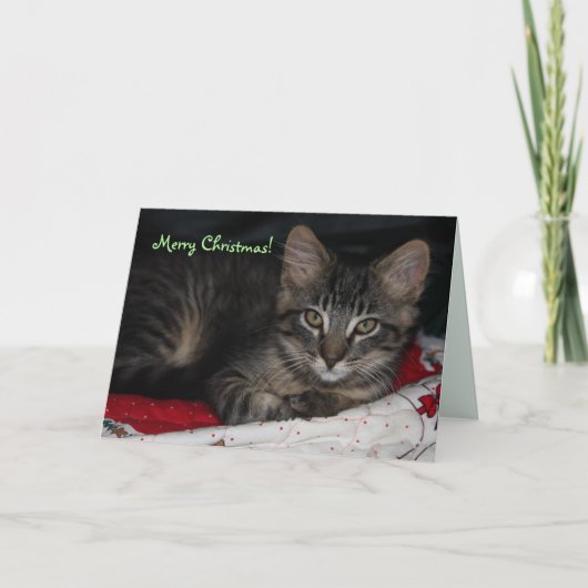 カスピ海メリークリスマスカード シーズンカード (正面)