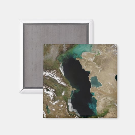 カスピ海 マグネット (正面/裏面)