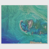 カスピ海 ラッピングペーパー (フラット)