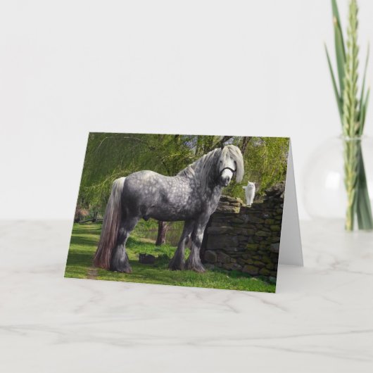 「カスピ猫と彼の猫」グリーティングカード カード (正面)