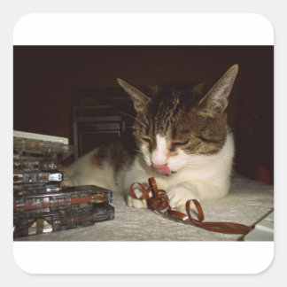 カセットに飢えている スクエアシール