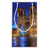 カセドラレノートルダムデパリ スモールペーパーバッグ (正面)