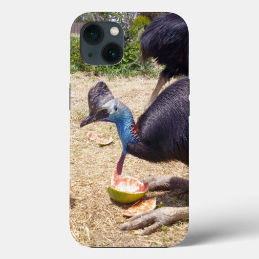 カソウィル食べ物バードのメロン、iPhone 13ケース Case-Mate iPhoneケース (裏面)