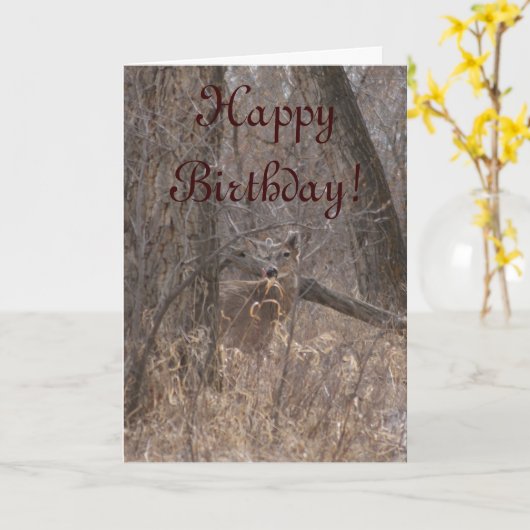 カタの木のD2白い尾を持つシカ カード (黄色い花)