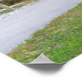 カタアクト被覆ブリッジオーバーミルクリーク ポスター (角)