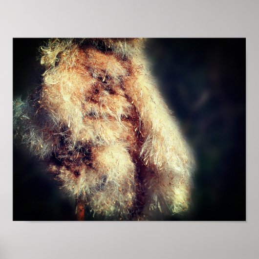 カタイル毛羽クローズアップ ポスター (正面)
