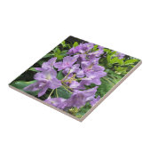 カタウビエンスブルソーロドデンドロンズオレゴン タイル (側面)